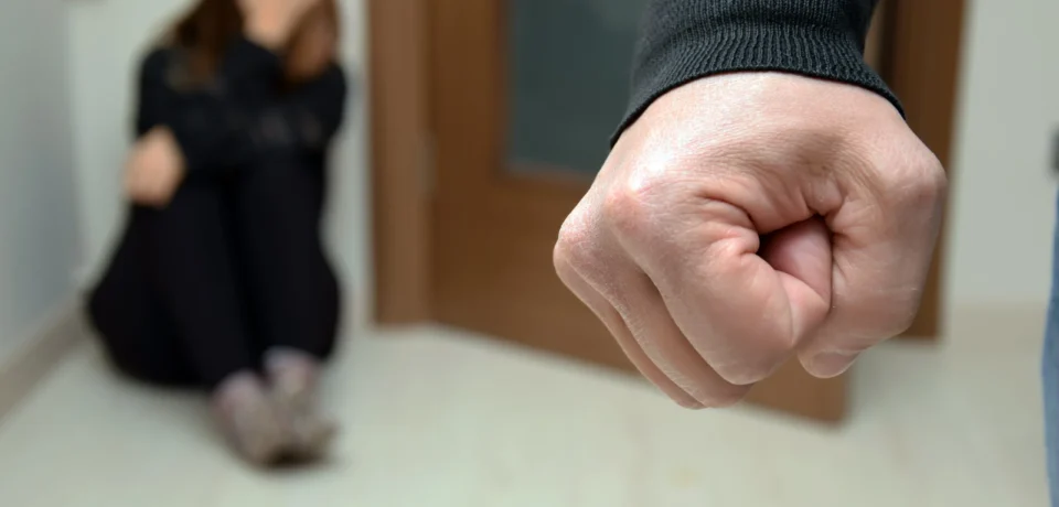 domestic violence domestic violence
